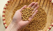 谁知囊中币，粒粒皆辛苦_500字