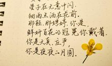 [我的偶像]你是人间的四月天_900字