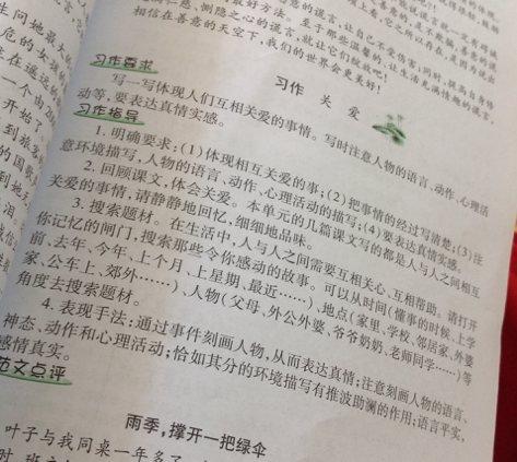 六年级仙女寓言作品：灯光_550字