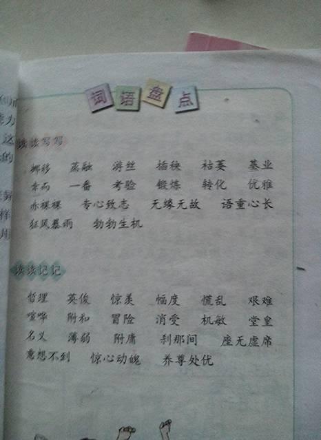 六年级童话构成：文具盒中的未开放式客人_450字