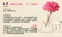 快乐难忘的母亲节_450字