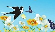 小燕子的故事_1000字