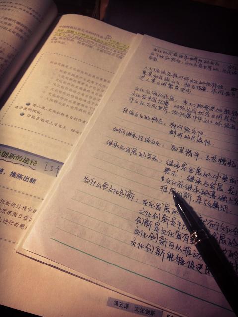 母亲，一个永远不会写_550字的日记