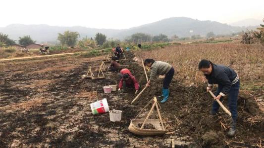 安徽国际商学院高中：李瑶