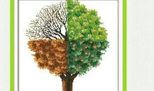 爱，藏在春夏秋冬_600字