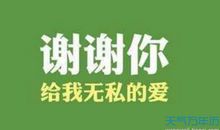 关于感恩节的作文200字:爸爸妈妈，感恩节快乐_350字