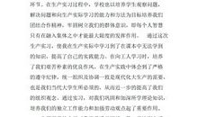 发电厂实习报告格式总结（三）