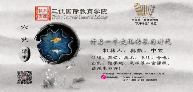 如果我是蜜蜂_750字