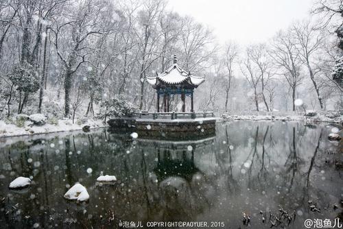 这部电影的雪花让整个世界涂上玉玉，鲜花和树木的流动在中间的道路上也是玉树Qiongzhi，袁庄小城沉迷于雪花。许多男人和女人在夜晚都很开心，有些人抓住了对手的脸上的雪，有些是靠近鲜花和树的吻，你喜欢喜欢使用相机或手机的青春男女，让他们美丽，英俊的数字和盲目日期的甜蜜进入天空世界，经过多年，也许成为浪漫而永恒的甜蜜记忆。