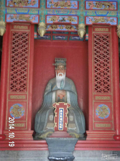 风施
