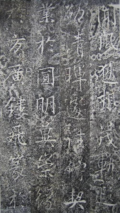 高郑辰