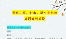 植物好段好句：描写植物的好段佳句_900字