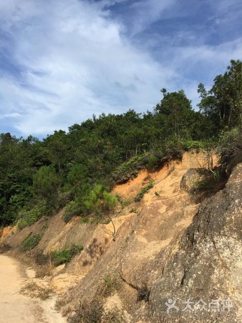 旅游麒麟山_300字