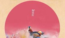 2009年中考优秀作文素材：落花和大雁