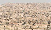 高一作文：平怀—— 以家风吹开中国梦之花 _1500字