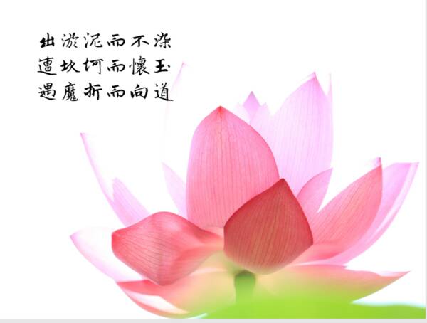 七色花_900字