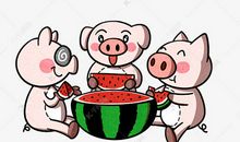 小猪吃西瓜_400字