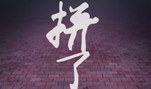 青春恰似一首歌_500字