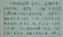 [12月征文]难忘的一件事_350字