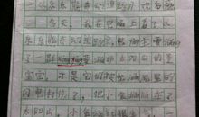 高三观后感：《旗帜》观后感_750字