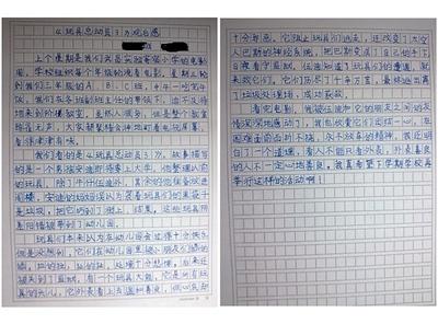 高三方的感觉：“艰难的家伙”看_2000字