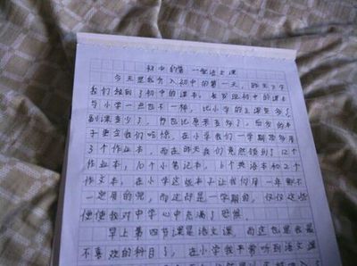 三次观看后：“图表”看_900字