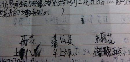 描述鲜花中的多个人