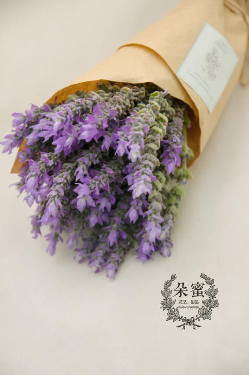 草的崇拜_600字