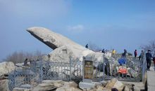 家乡的清明_500字