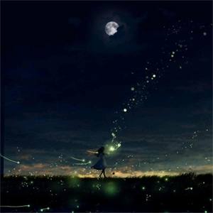 夜晚_300字