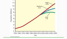 The Problem of Human Population