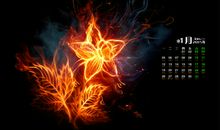 花朵燃烧的国_150字