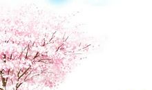 [春天来了]我眼里的春_800字