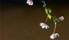 幸福不是一种获取而是一种给予_600字