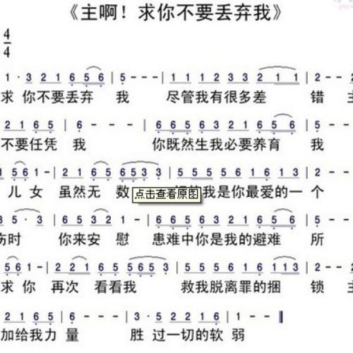 兔子：来自我的远方的朋友_450字