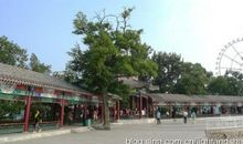 天津水上公园_250字