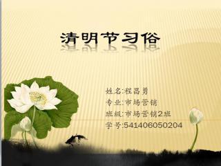 在清明节的海关_3000字