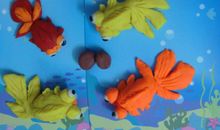 可爱的小金鱼和小乌龟 _350字