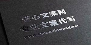 我的写作职业_900字