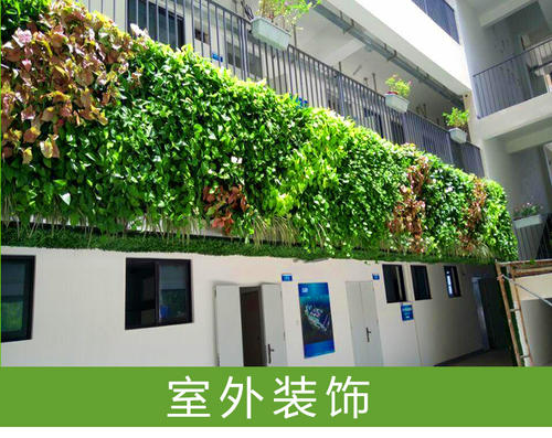 围栏墙上的绿色植物非常郁郁卢比_1000字