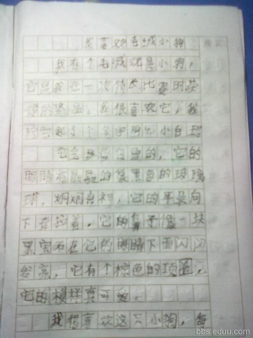 三年级文字：我喜欢我的小狗_450字