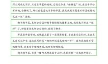 三年级状物作文：阳光_550字