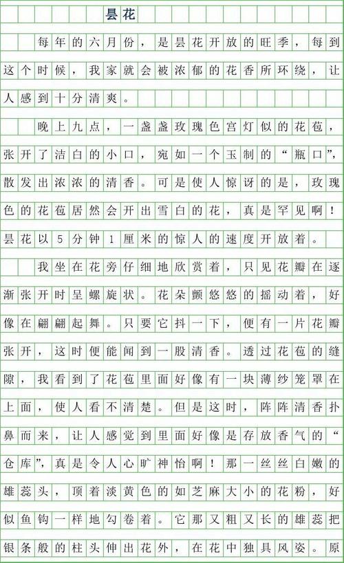 三年级组成：昙花_350字