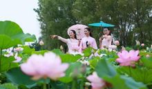 我与荷花的那次懈逅_300字