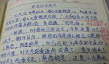 关于竞争的作文：另类竞争_600字