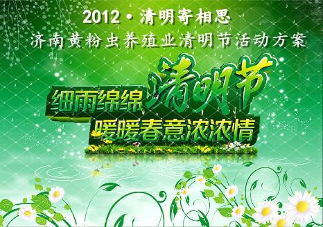 清明，清晰的爱_550字