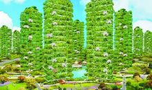 创建森林城市，共建美丽晋江_650字