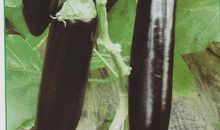 考试(马源)_550字