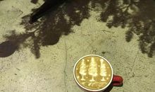 车祸给人类的一封信_600字