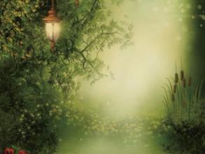 秋季伤害_2000字